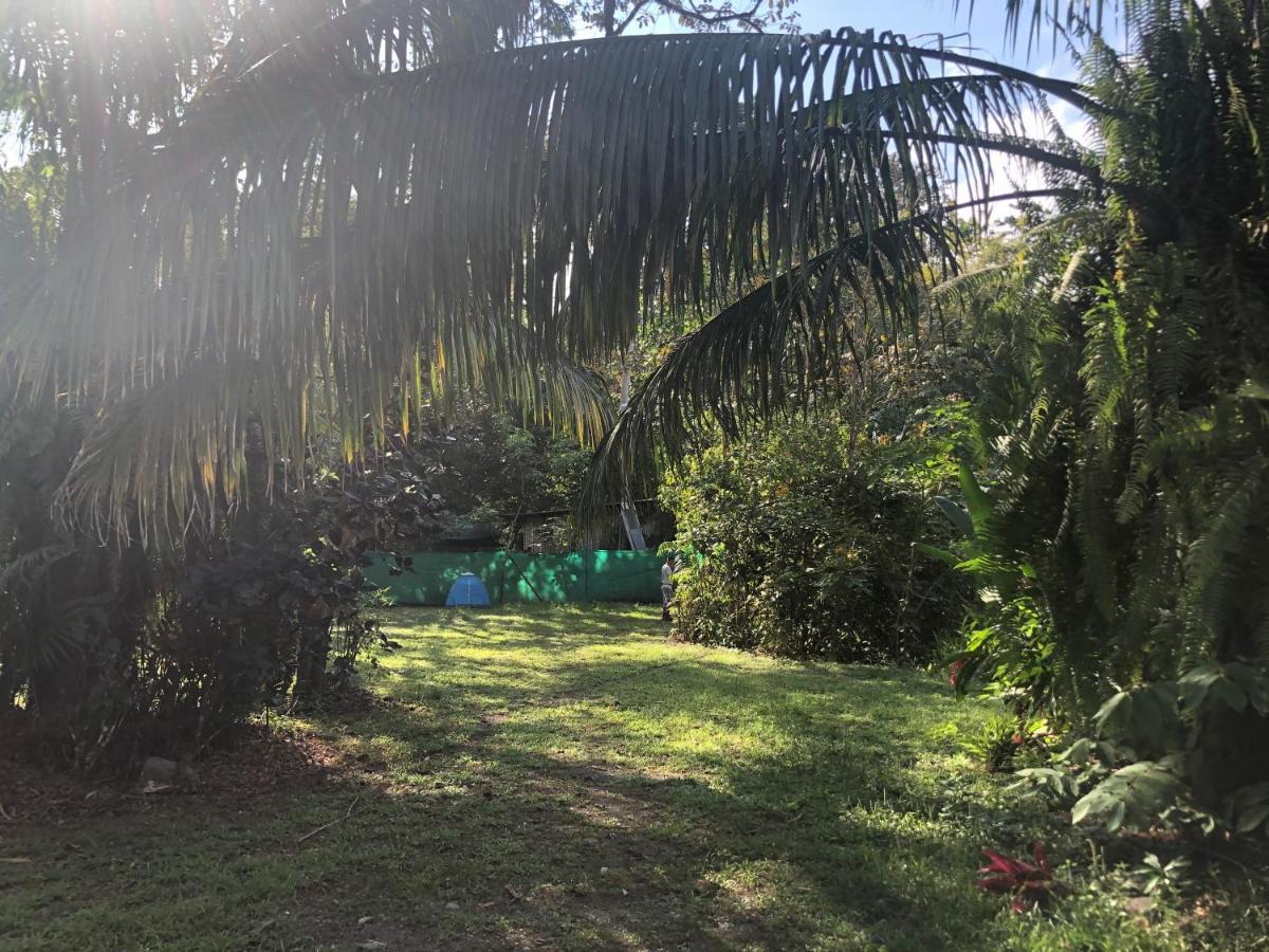 Chosa Manglar Suites & Cabins Puerto Jimenez Bagian luar foto
