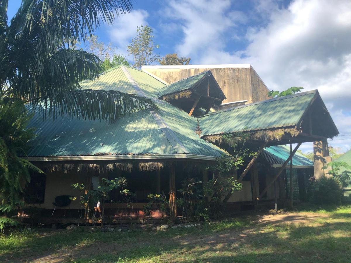 Chosa Manglar Suites & Cabins Puerto Jimenez Bagian luar foto