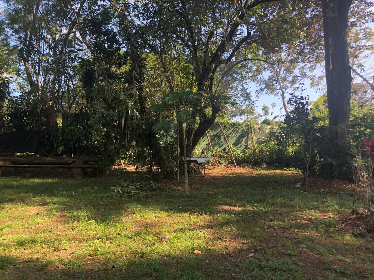Chosa Manglar Suites & Cabins Puerto Jimenez Bagian luar foto