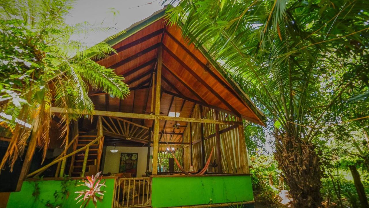 Chosa Manglar Suites & Cabins Puerto Jimenez Bagian luar foto