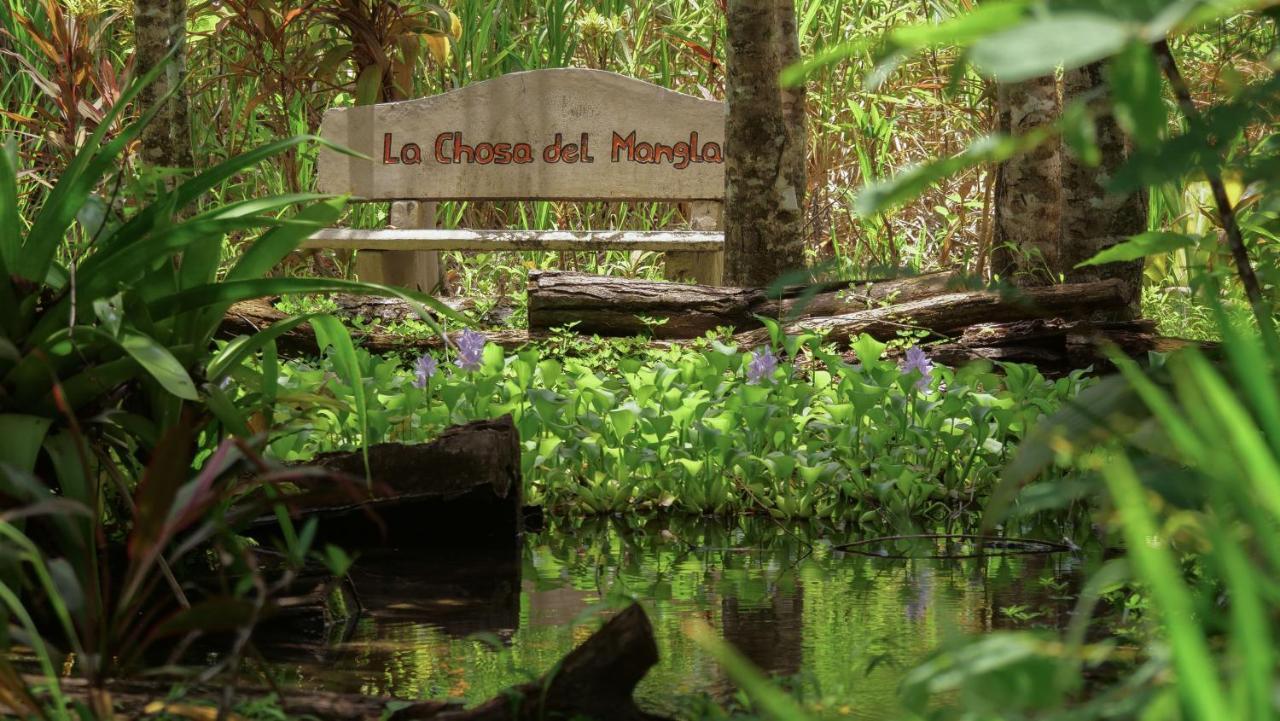 Chosa Manglar Suites & Cabins Puerto Jimenez Bagian luar foto