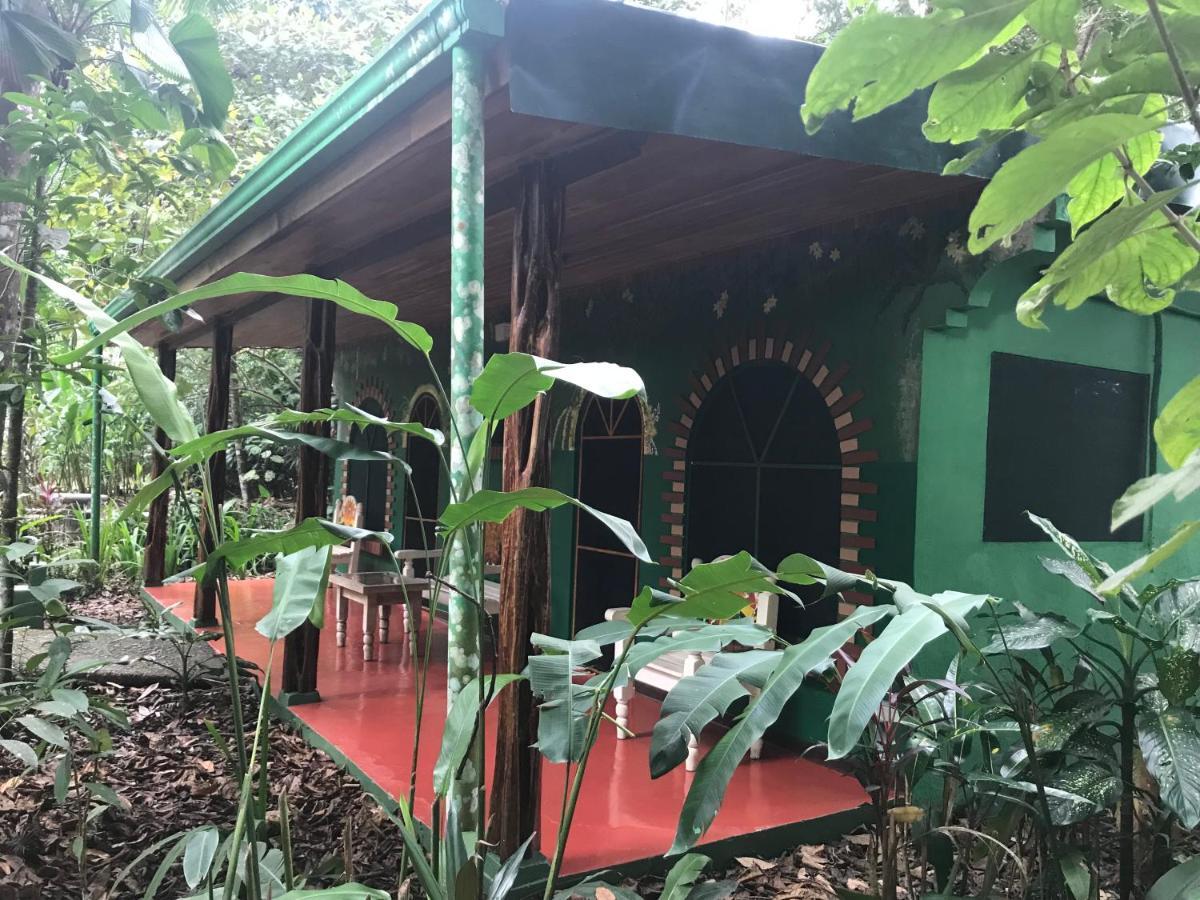 Chosa Manglar Suites & Cabins Puerto Jimenez Bagian luar foto